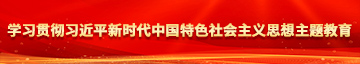 好吊色射学习贯彻习近平新时代中国特色社会主义思想主题教育